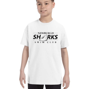 Gildan Newburgh Youth T-Shirt (4 Colors)