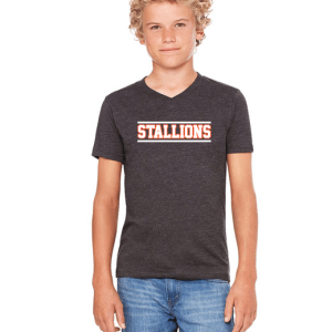 Bella + Canvas Stallions Youth V-Neck T-Shirt (3 Colors)
